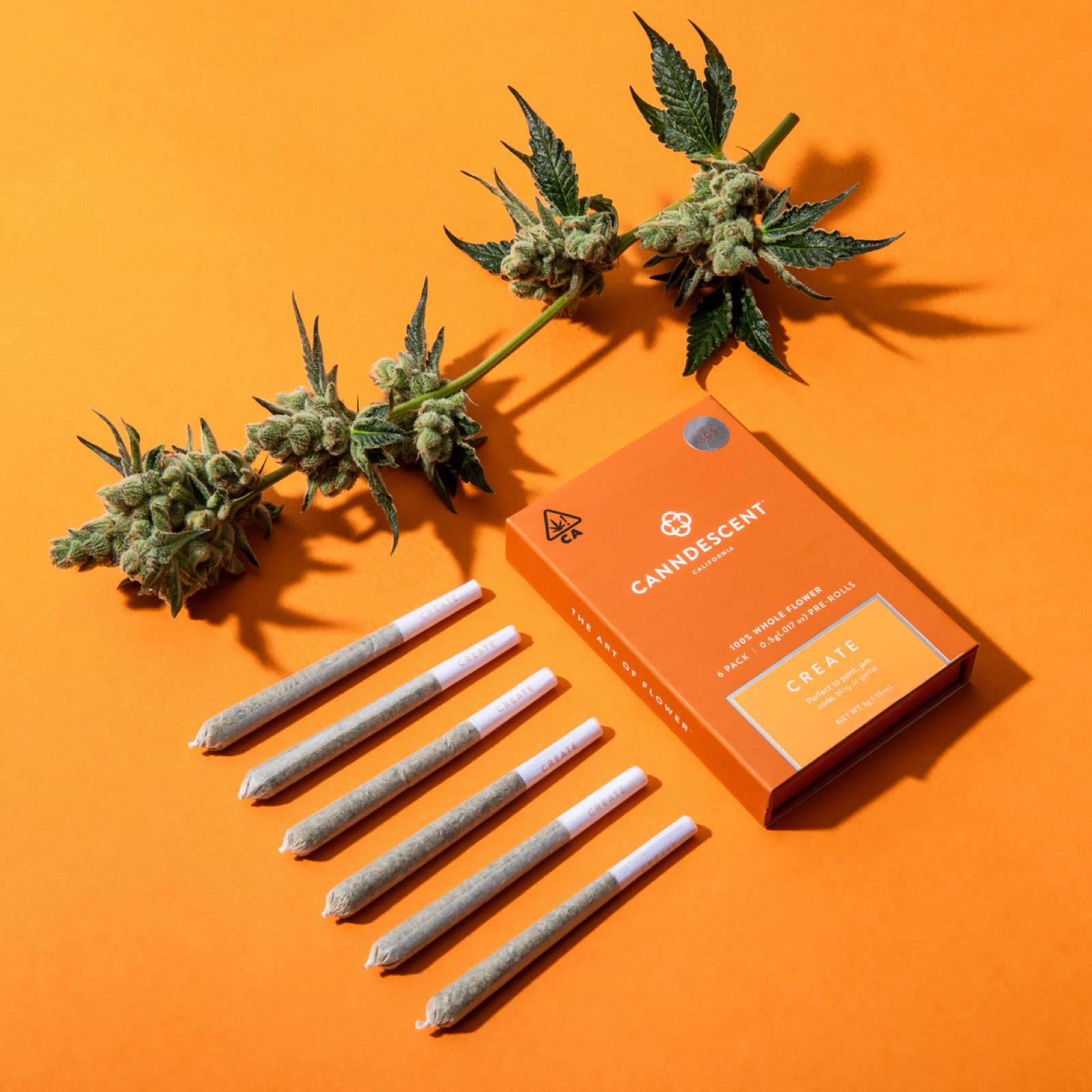 Canndescent indoor-grown flower