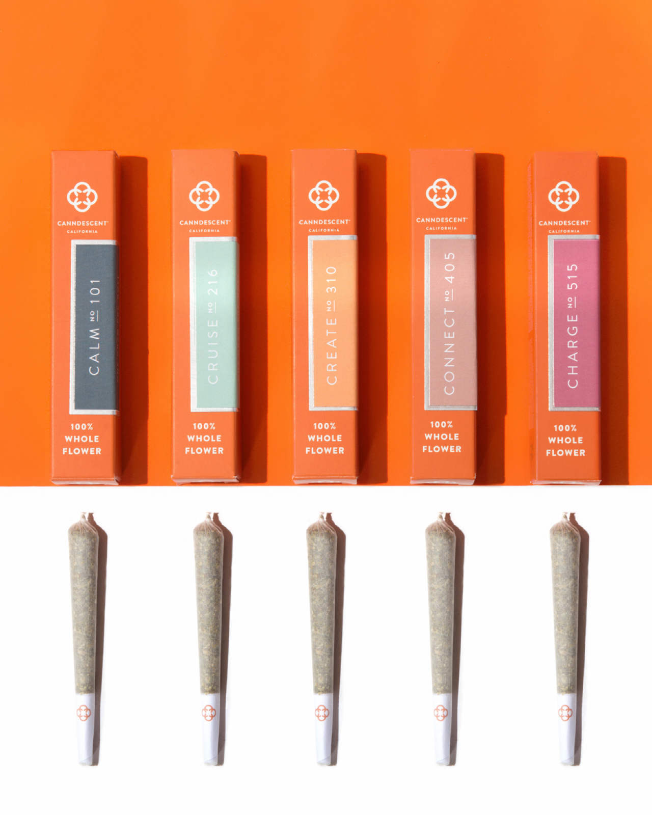 Canndescent
